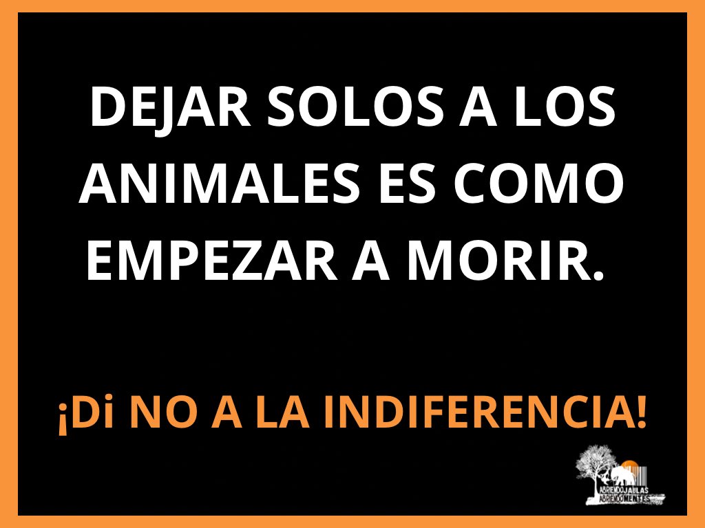 ¡Demuestren su compromiso con la ciudadanía @senadomexicano @Mx_Diputados! Les pedimos que dictaminen positivamente para que los animales sean incluidos en la Constitución de México. #AnimalesALaConstitución