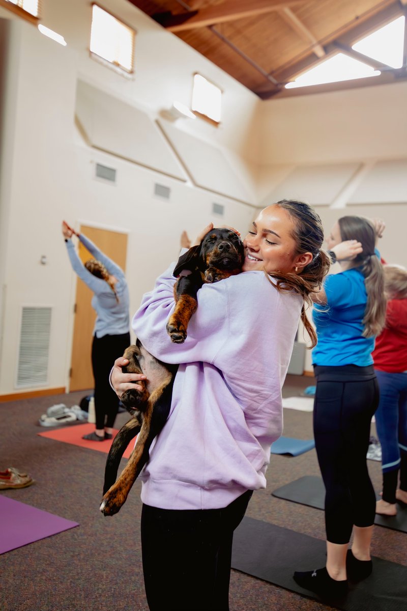 BrandywineSPCA's tweet photo. ๐ถ๐งUnleash tranquility and happiness at one of our zen-filled Yoga with Puppies morning sessions at The Arc of Chester County during the Walk for Paws day of family fun on April 27th.
Register today: https://t.co/2w1aK8KG1R
#BVSPCA #YogawithPuppies #WalkforPaws https://t.co/W7N40Z34kJ