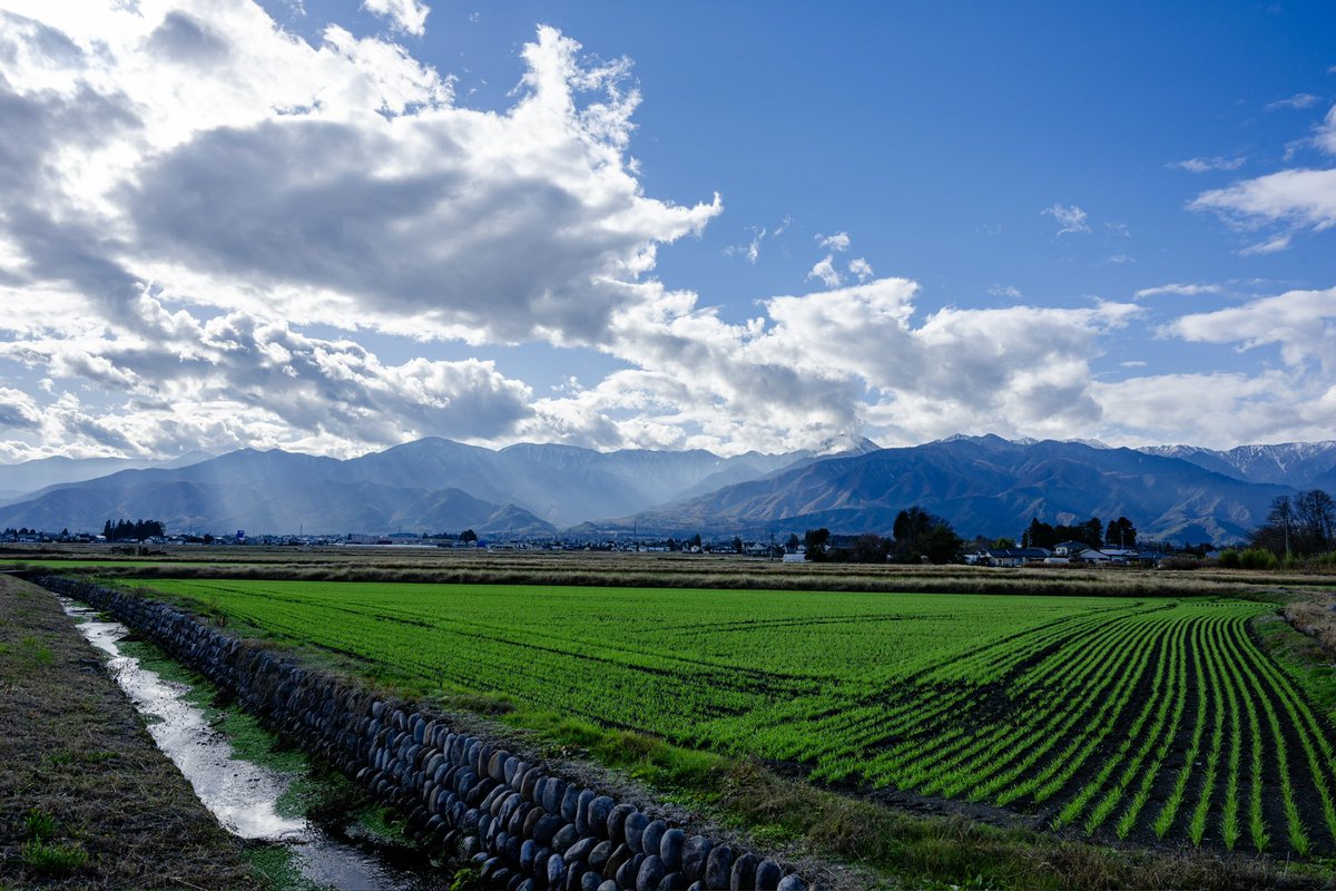 jon92048449's tweet photo. Share45

The field in the dream
#japan #nagano #nature #landscape https://t.co/oU0TXyaCgM