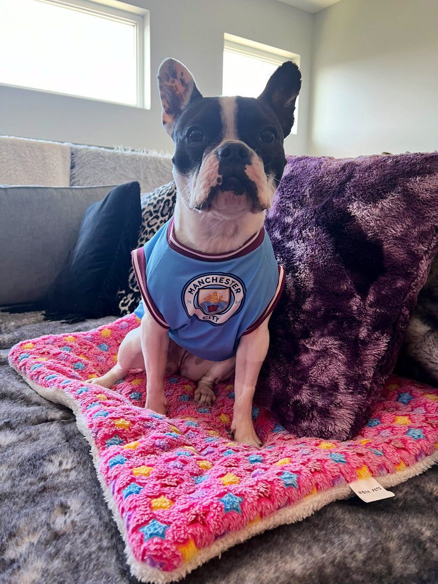 Izzy barely had time to get dressed before her guy @ErlingHaaland gets on the scoresheet! ⚽️🩵⚽️🩵⚽️🩵 @ManCity @ManCityUS @ManCityzenscom @shadesofbluenw @ChicagoMCFC @bitterandblue1 @NBCSportsSoccer @PLinUSA @premierleague #mancity #mancitypup #manchestercity #myplmorning