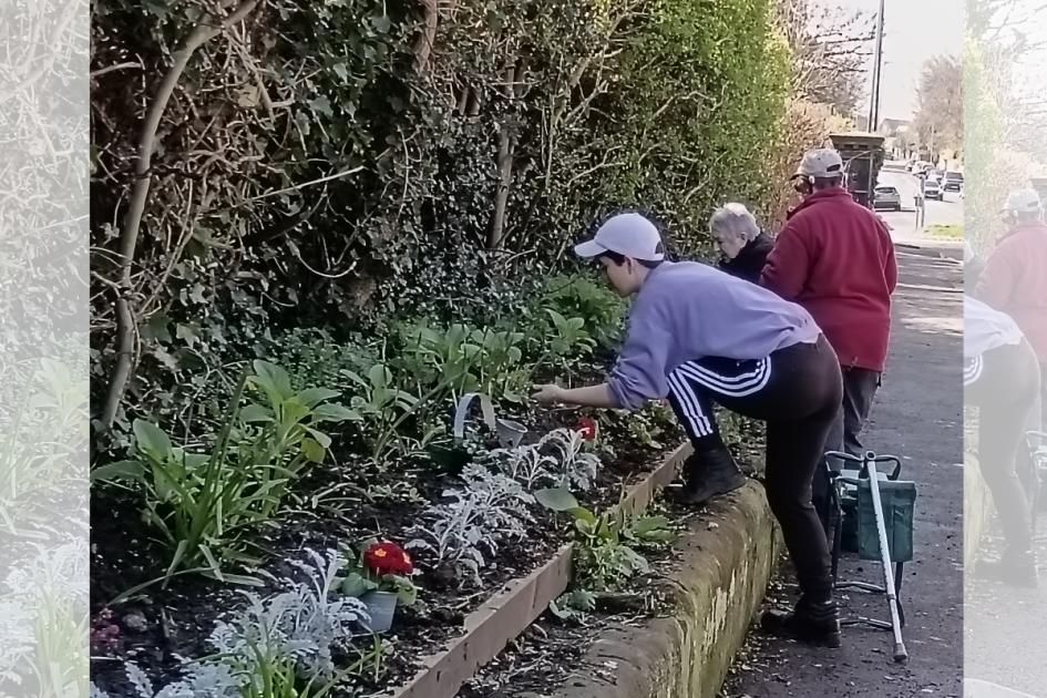 Friends of Birkenhead Park to celebrate Good to Grow Week dlvr.it/T5SMQ0