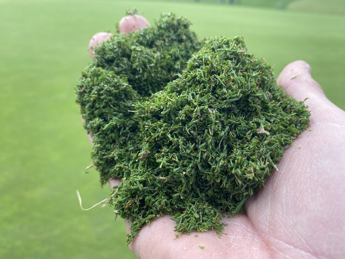 It takes an army…following 2” of rainfall and high winds, we are fortunate to have 20 staff blowing the entire property…3 crews of 4 plus Clubhouse Grounds, fairway blowing and 1st cuts to greens post 1000lbs sand per 1000….”no puddles”, “no washouts” 👌🙏👍👏
