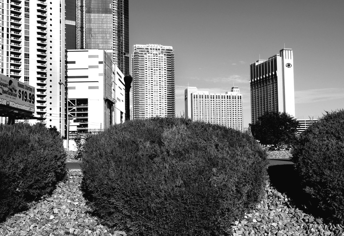 GREENSPACE
Las Vegas, NV (2009)
copyright © Peter Welch

#nftcollectors #NFTartwork #peterwelchphoto #thejourneypwp #blackandwhitephotography #photography #blackandwhite #LasVegas #Nevada #skyline #buildings #shrubs #casinos #gambling #sky #desert #dry #NV #manicure #condominiums