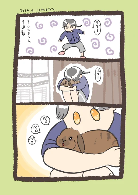 ガッツリいかれました☺️
味見やったん?

#うさぎのいる生活 