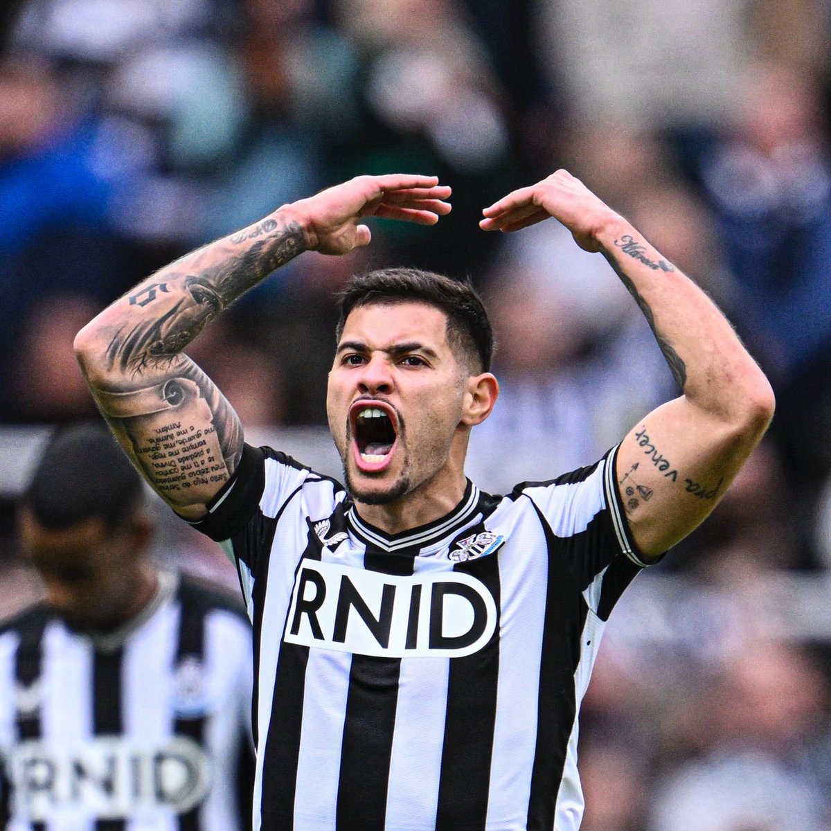 brunoog97's tweet image. Another amazing day in our home!! So proud of our team!! 4-0, 3 important points and 1 assist!! Howay the lads. Love it 🖤🤍3️⃣9️⃣