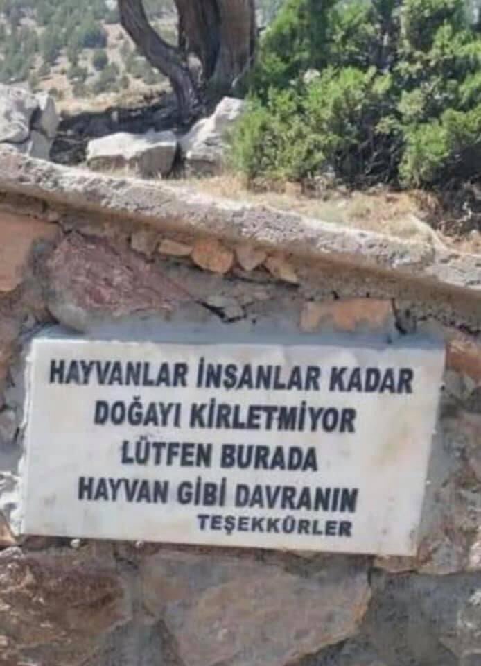 Umarım Bayram boyunca Hayvan gibi davranmisizdir Doğaya karşı otobüsler tramvaylar ve yollara insan gibi davrandikda