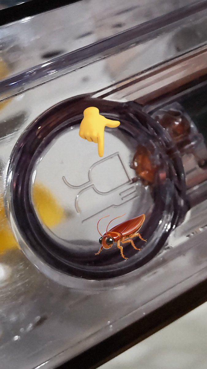 「🔞閲覧注意🔞」

デロ◯ギのコーヒーマシーン洗ってたら水タンクフィルターに何やら茶色い物が…

今日はG出汁コーヒーを飲んでたようです…

フィルターのとこのマークが何を示してるのかわからなかったけど、
今日やっとわかりました。

こういうことね…
