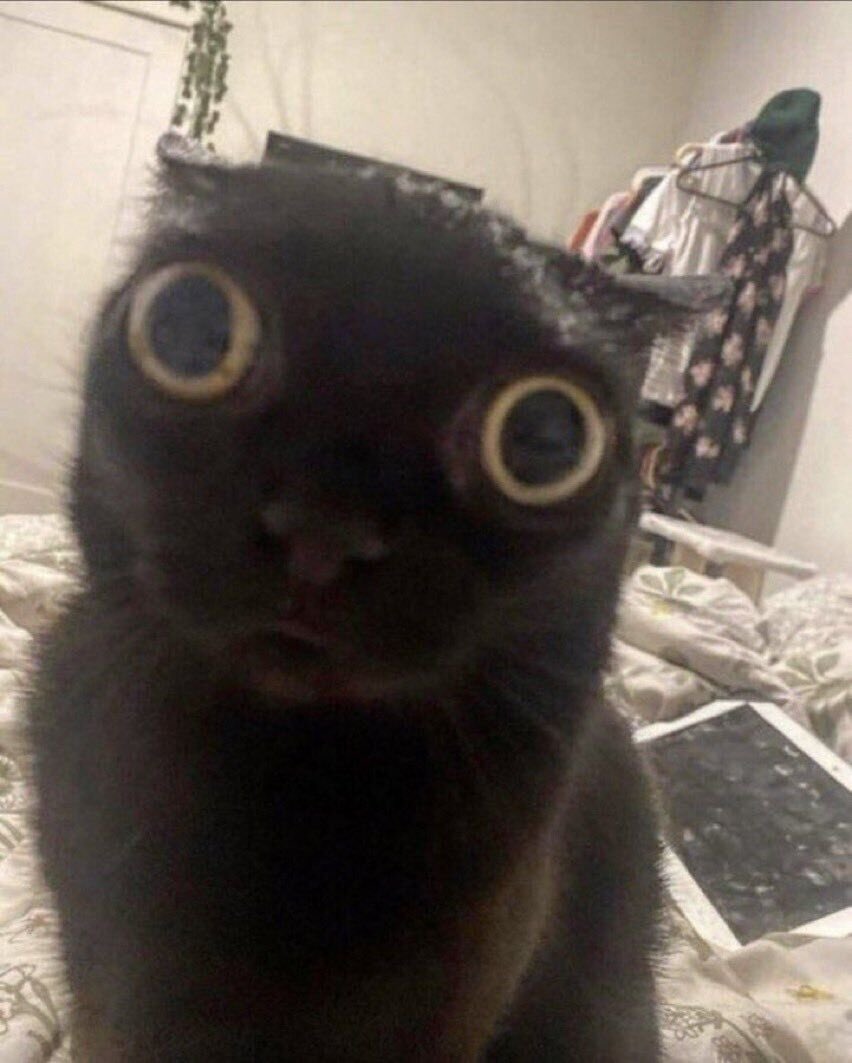 thinking abt the 30 pack of mochi i bought that only had ONE bubble tea in the whole thing Y-Y…..