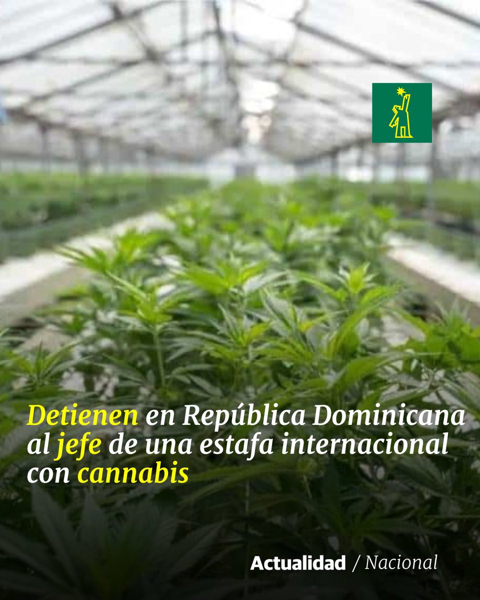 🗞 | #NacionalDL | El apresado trabaja para una organización rusa, la cual opera en más de 30 países

🔗ow.ly/hPfR50Rfzjj

#DiarioLibre #Estafa #OrganizaciónRusa #Cannabis #ActualidadDL