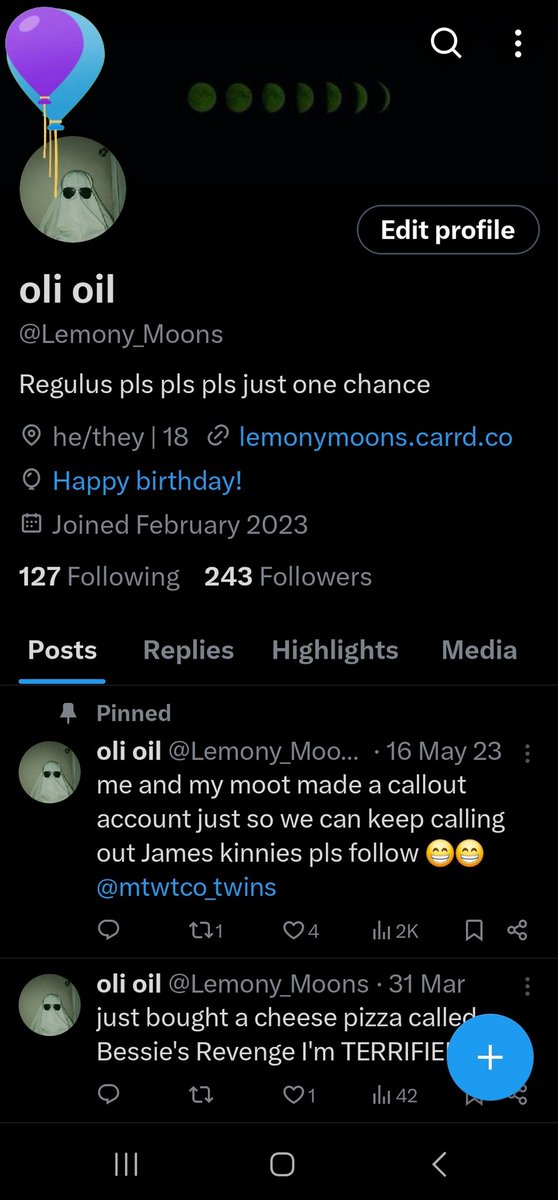 Lemony_Moons's tweet photo. my balloons are a bit broken but they got the spirit 💀💀 https://t.co/VhGQWNwxIz