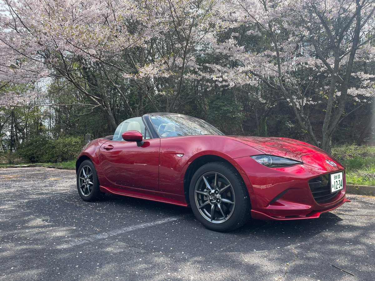 RedOutposts's tweet image. 桜風吹🌸
もうオープンが暑い🥵