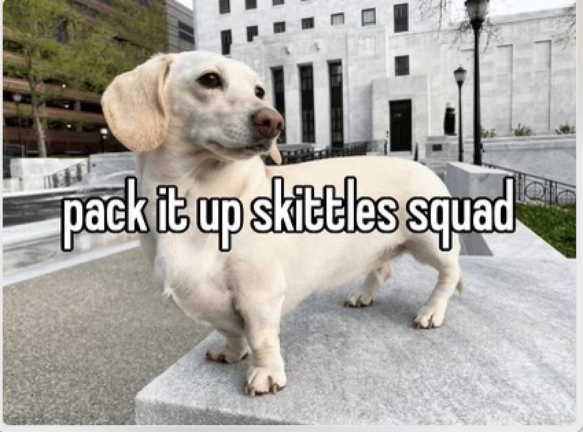 Homophobic Dog