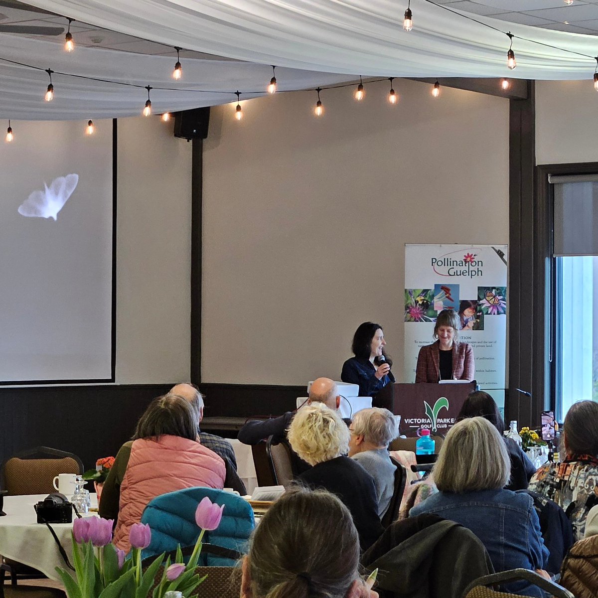 PollinateGuelph's tweet photo. #Moths! Underappreciated #pollinators often active at dusk or night. Local artists Christina Kingsbury and Lisa Hirmer discuss their Ignatius Moth Garden in #Guelph.#PGEvents https://t.co/o1Gh7f3O8a