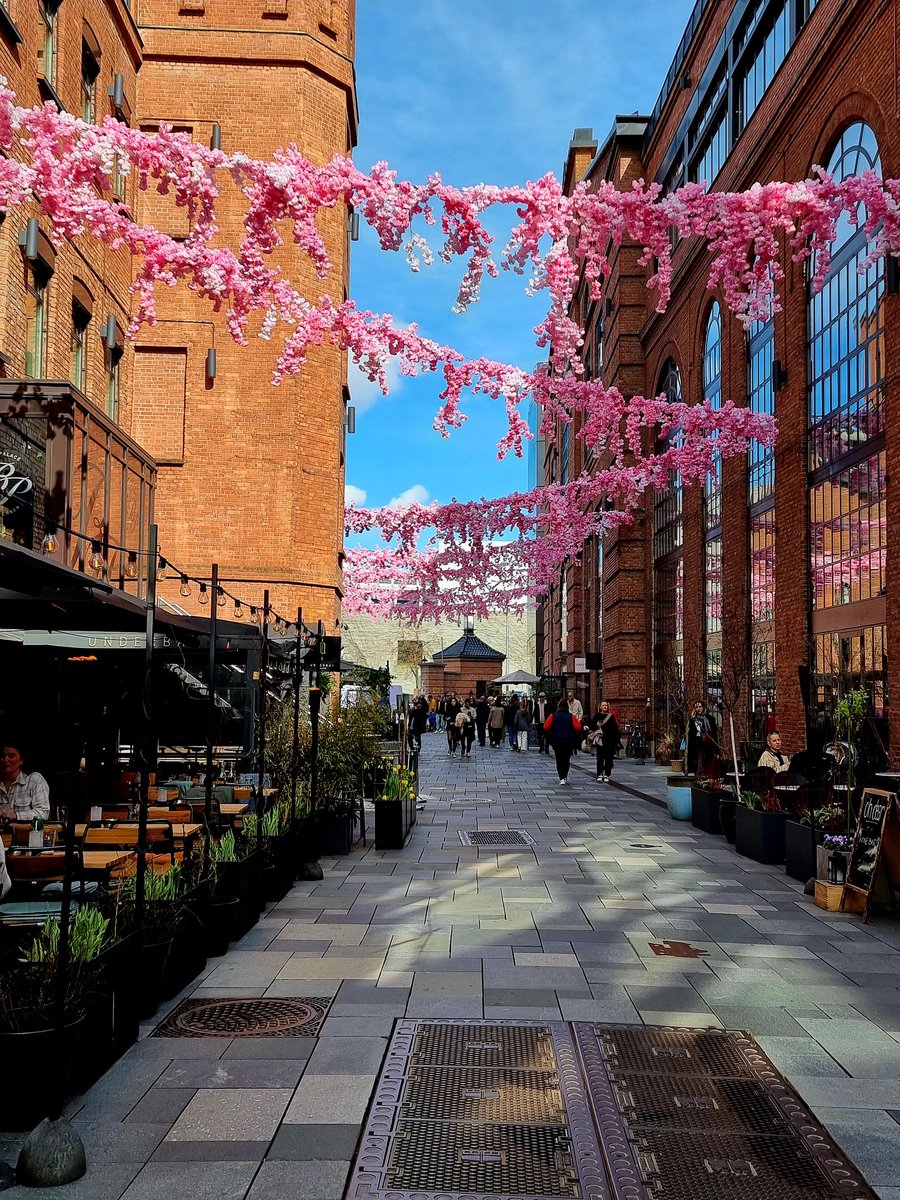 Veronica Halsvik tweet media