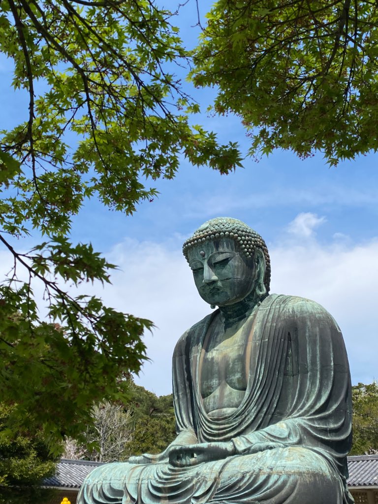 鎌倉の大仏様
桜と新緑と青空
癒された