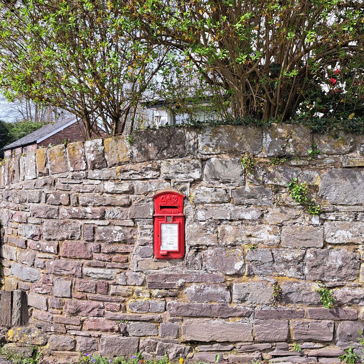 My first ever 'loaf' 😊. #postboxsaturday from Wales.