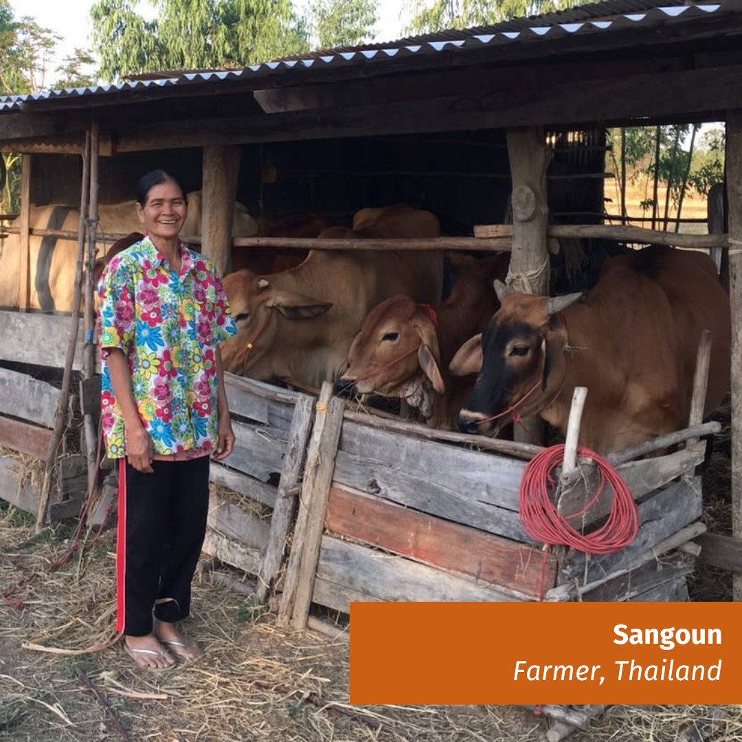 Meet Sangoun, a farmer with over 30 years of experience raising cattle. With a loan acquired through lendwithcare.org, she plans to purchase two female cows for breeding and improve her cattle housing. Support a farmer like Sangoun by lending as little as £15 🐄🧡