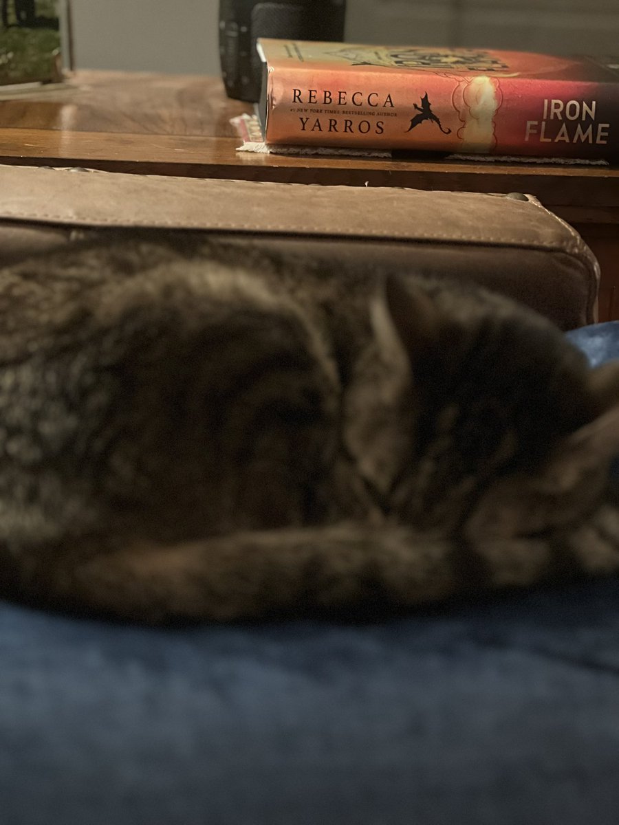 DublinNoir's tweet photo. @readathon https://t.co/zk7CHDMoKN
