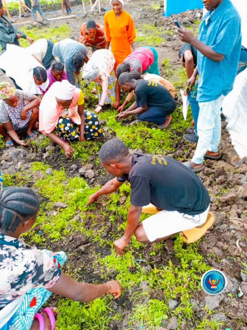 DPJINCCN_NK's tweet photo. Après les différentes formations fournies par la @DPJINCCN_NK avec l'appui financier de l' @UNICEFDRC, Ce samedi 13 avril 2024, la communauté #U_report SHABINDU a organisé une #U_ACTION d'arracher les mauvaises herbes qui croisent sur leur site d'accueil le camp #SHABINDU https://t.co/9QliyVmzU6