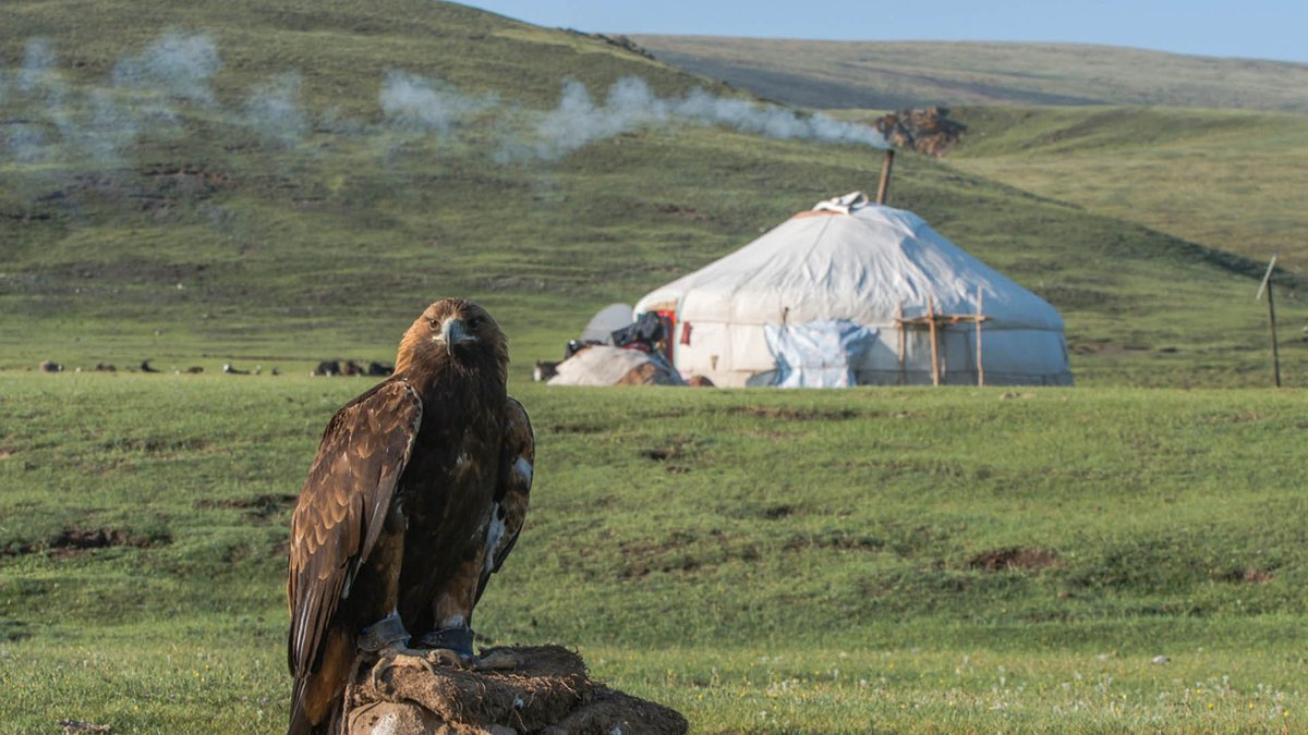 The eagle and ger (traditional dwelling) symbolize how nature and human culture coexist harmoniously in Kazakh culture in western Mongolia. Come and enjoy the Eagle Festival in early October. 

#Mongolia #WesternMongolia #KazakhCulture  #NatureAndCulture #Eagle #Ger