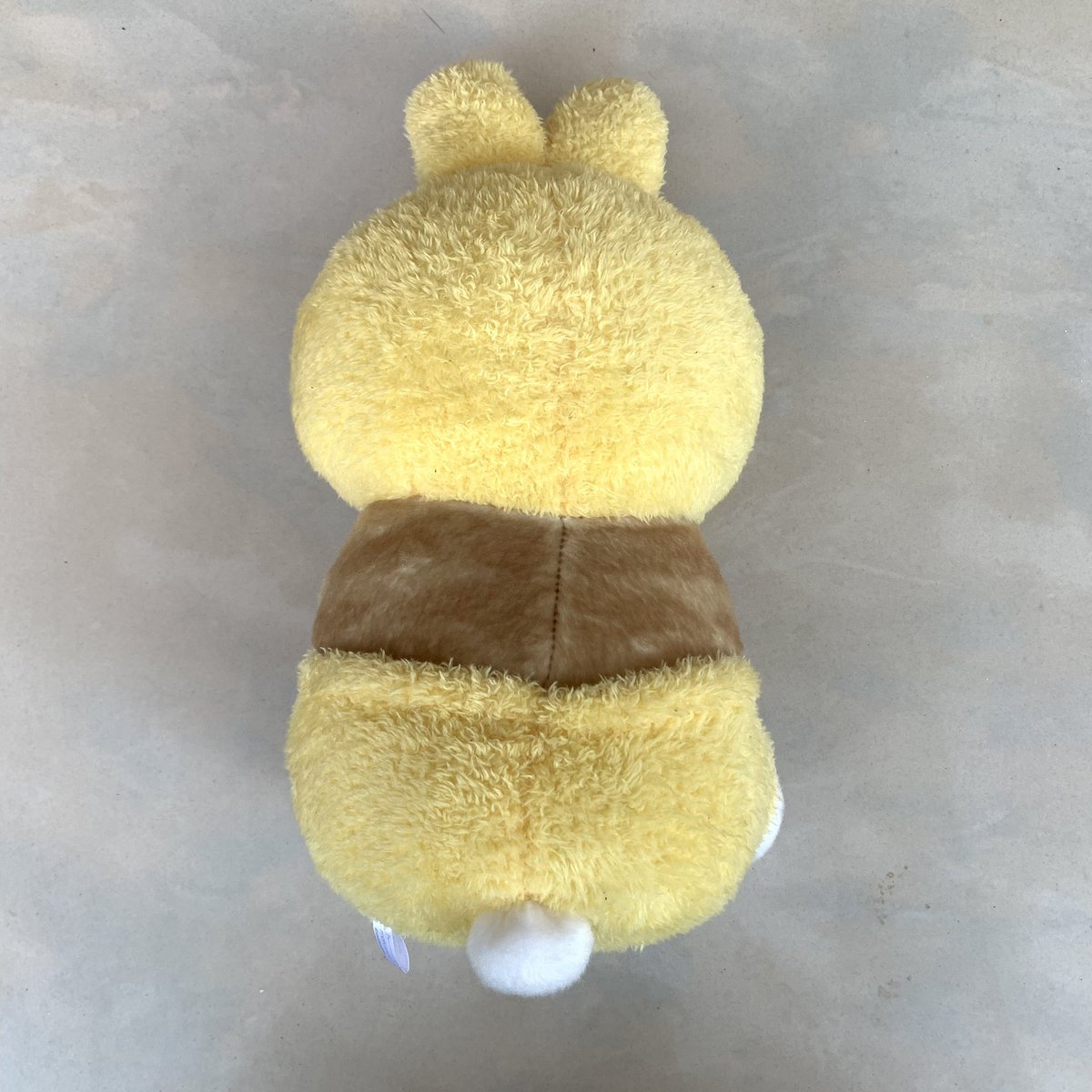 kai tweet media