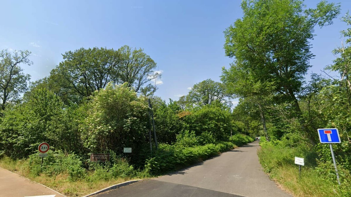 BFMTV's tweet photo. 🔴 INFO BFMTV
Des ossements humains découverts par des promeneuses dans un bois du Val-de-Marne
https://t.co/GEfxkgxU4e https://t.co/bmDCPBsRGa