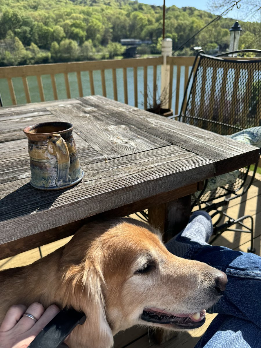 River + coffee + dog