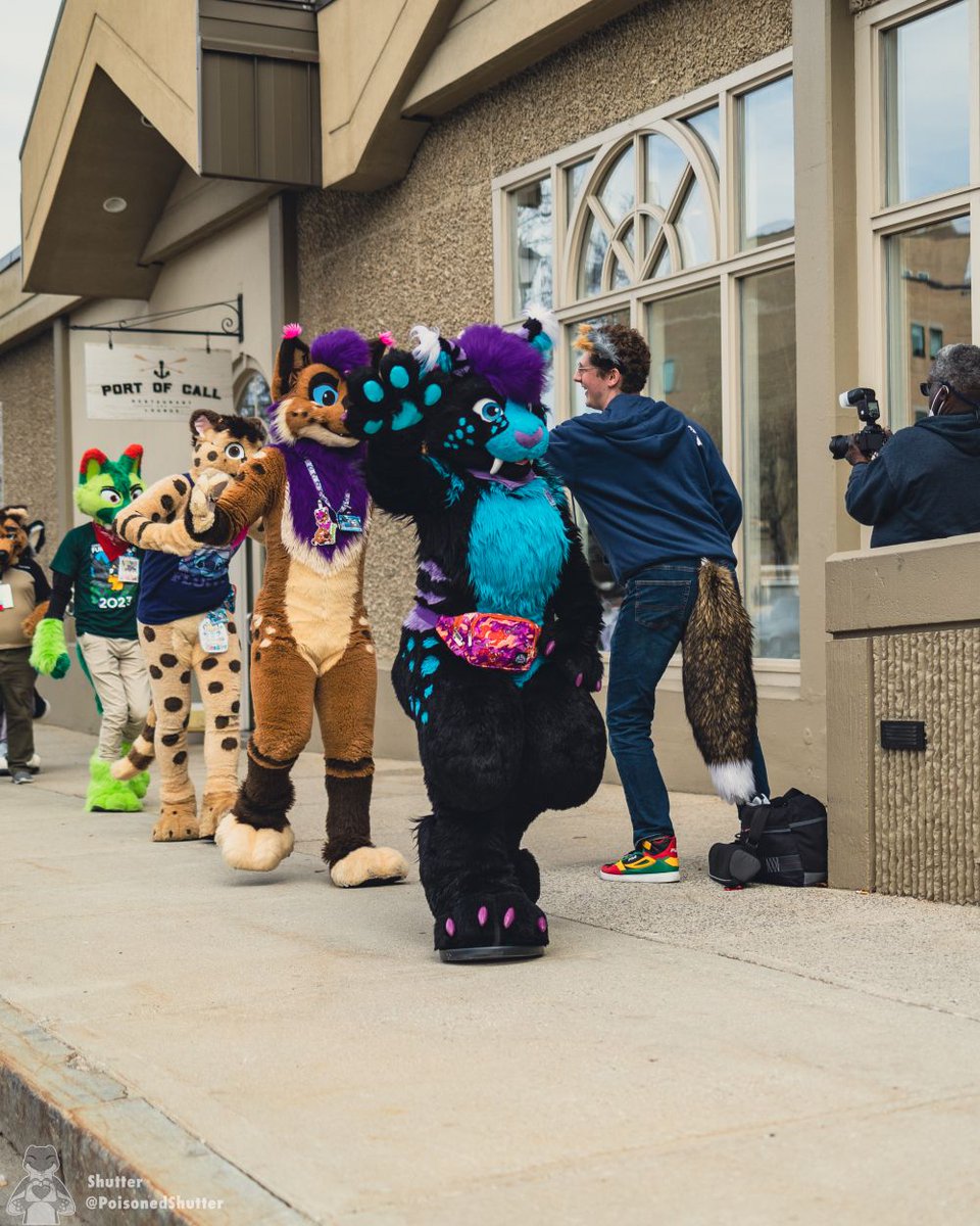 Furcationland tweet media