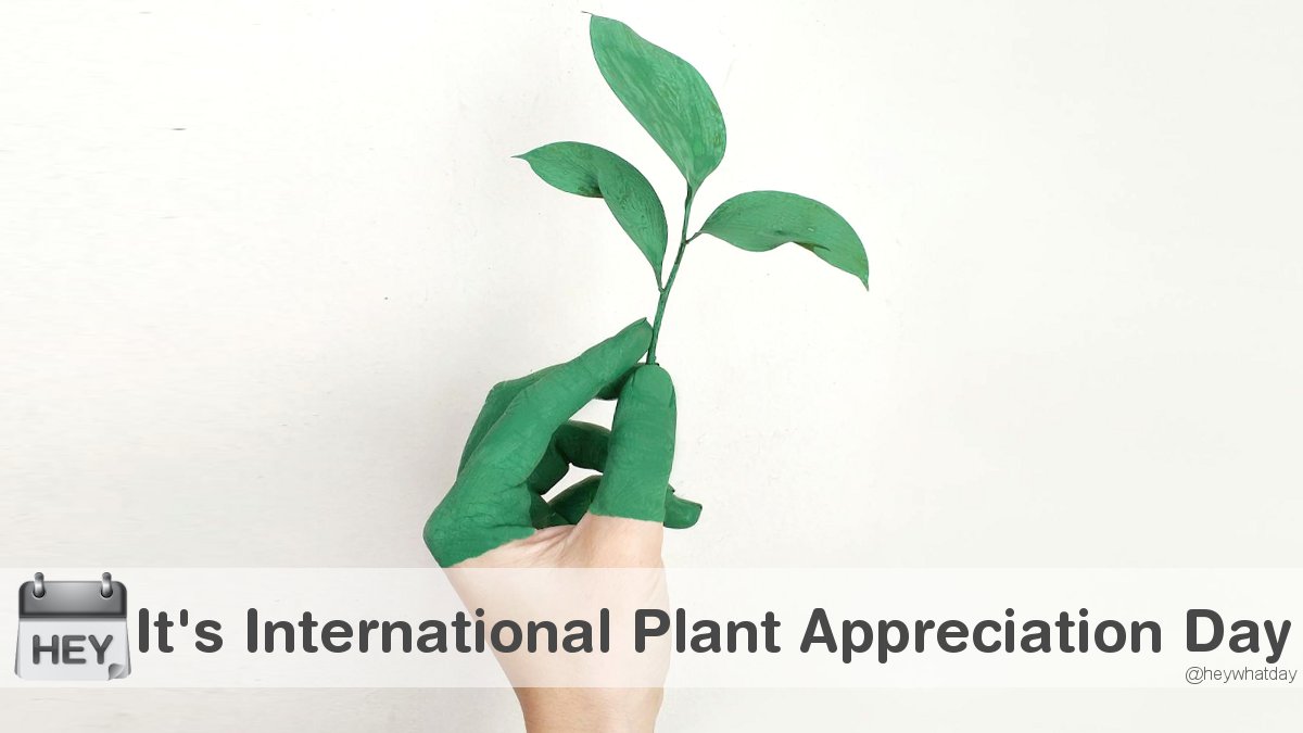 It's International Plant Appreciation Day! 
#PlantAppreciationDay #InternationalPlantAppreciationDay #Plants