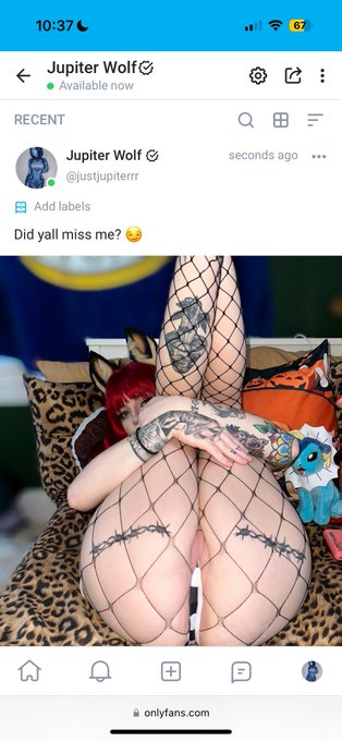 Jupiter Wolf’s pics and videos