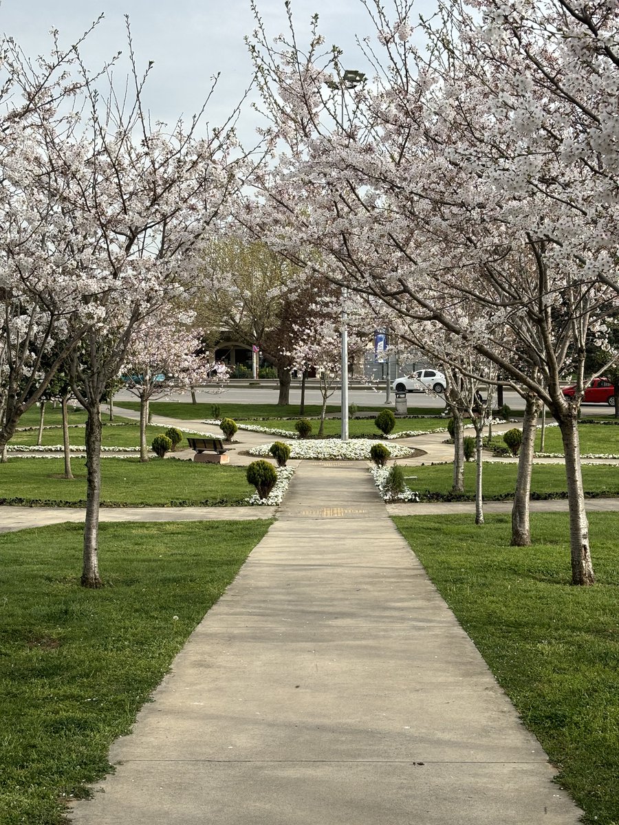 “Bir kimse derin bir anlam duygusu bulamadığında, kendini haz ile oyalar.”
— Viktor Frankl