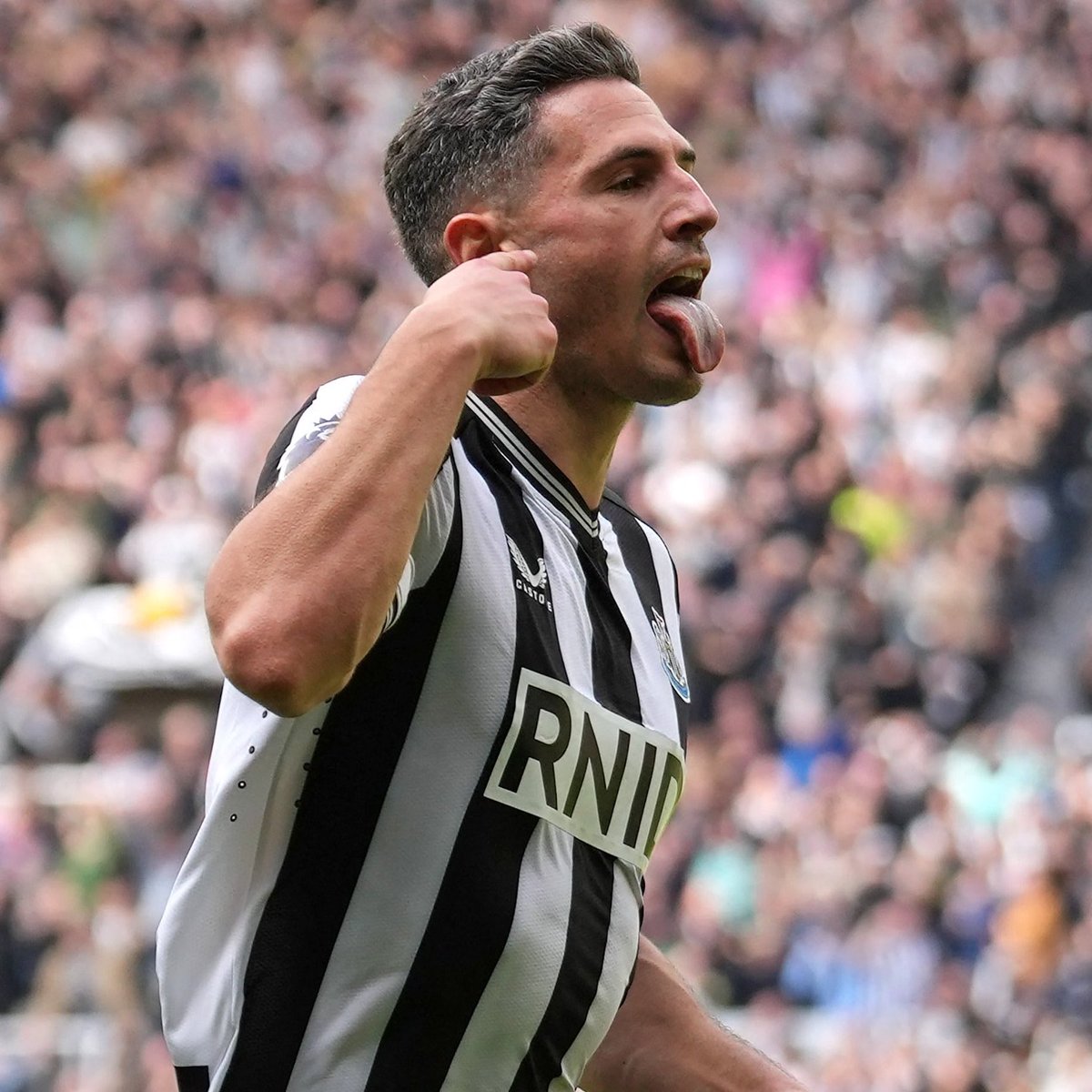 Stoperimiz Fabian Schar, Tottenham karşısında bu sezonki 5. golünü kaydetti. #NUFC