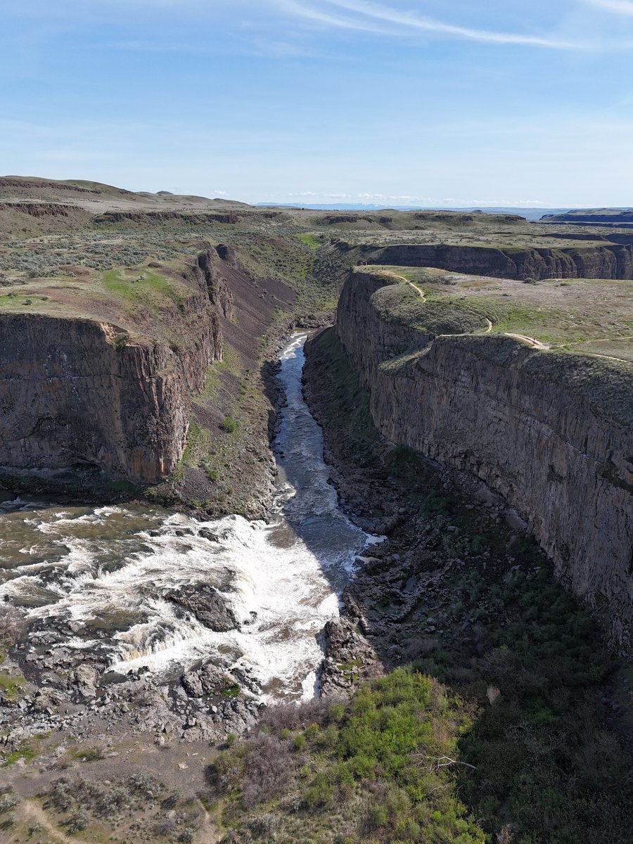 LilacCityDrone's tweet photo. Palouse River WA
#drones #drone #dronephotography #DJI @DJIGlobal https://t.co/D8P2vojhut