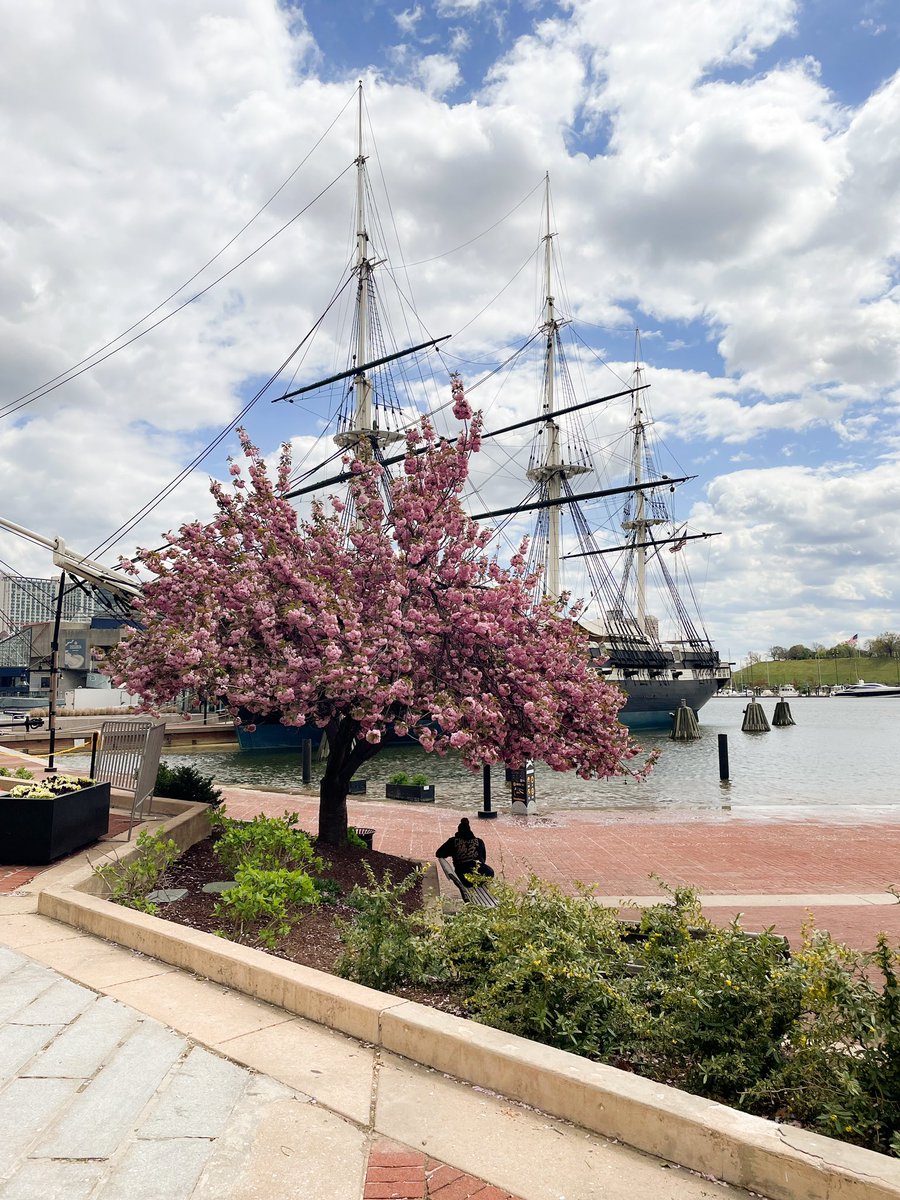 Thea Lananh Swenson, MD tweet media