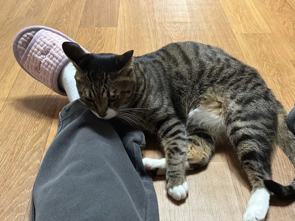 ِ (@controdicting) on Twitter photo 