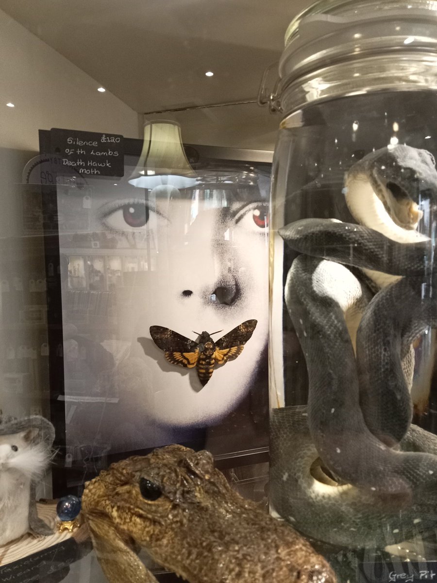 VISITING #WHITBY with the #WomanInPaint and visited some antique shops to today, a fair bit caught my eye... I was really interested by this #SilenceOfTheLambs piece with an authentic #DeathHawkMoth. Maybe next time... 🤩🎬📽️🍿🦋 #MovieFreak

#artistsonx #maninpaint #80skid #geek