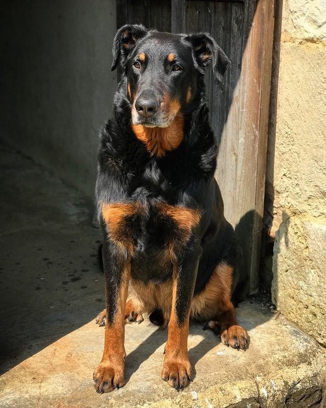 Atos the security guard, always watching our comings and goings, and especially if we could bring something back from the kitchen