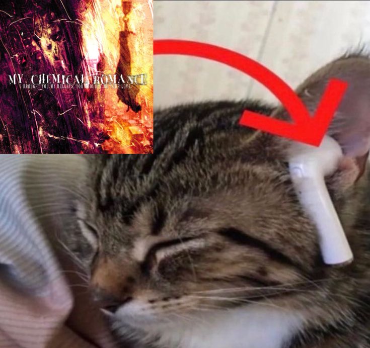 sleep lord (@kobratwink87) on Twitter photo 