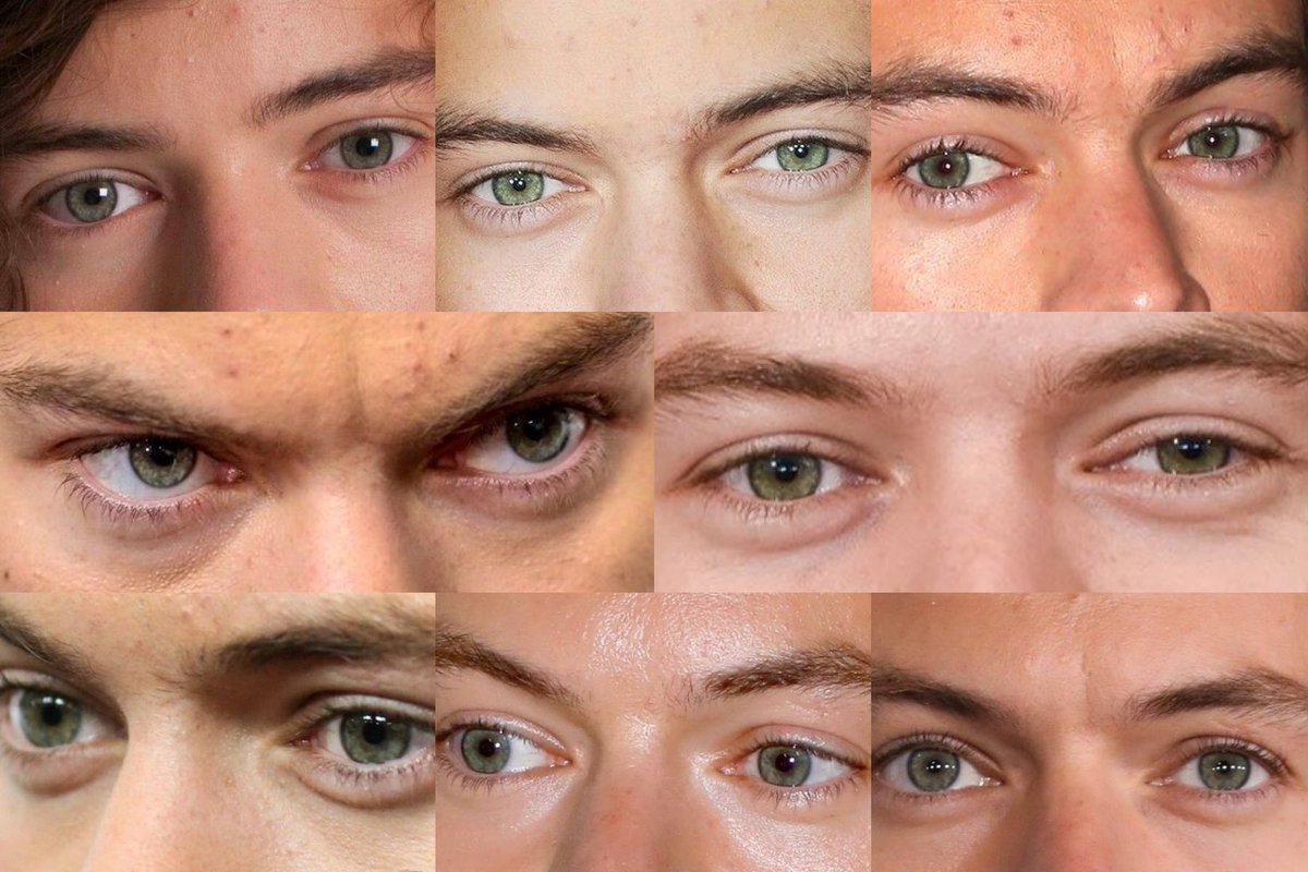 safeharrys's tweet photo. those beautiful eyes… https://t.co/Pe8mLs1e48