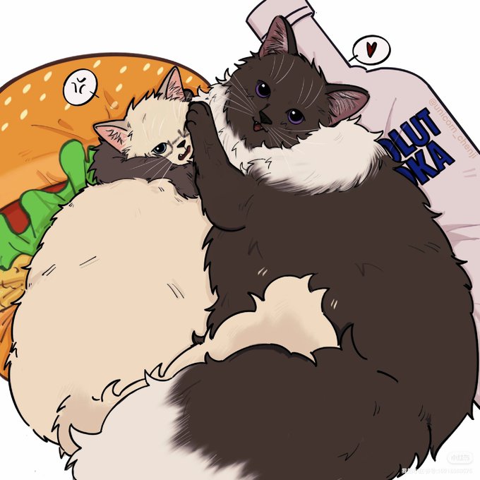 是猫猫!#ヘタリア #春待ち組 