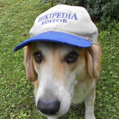#NewProfilePic