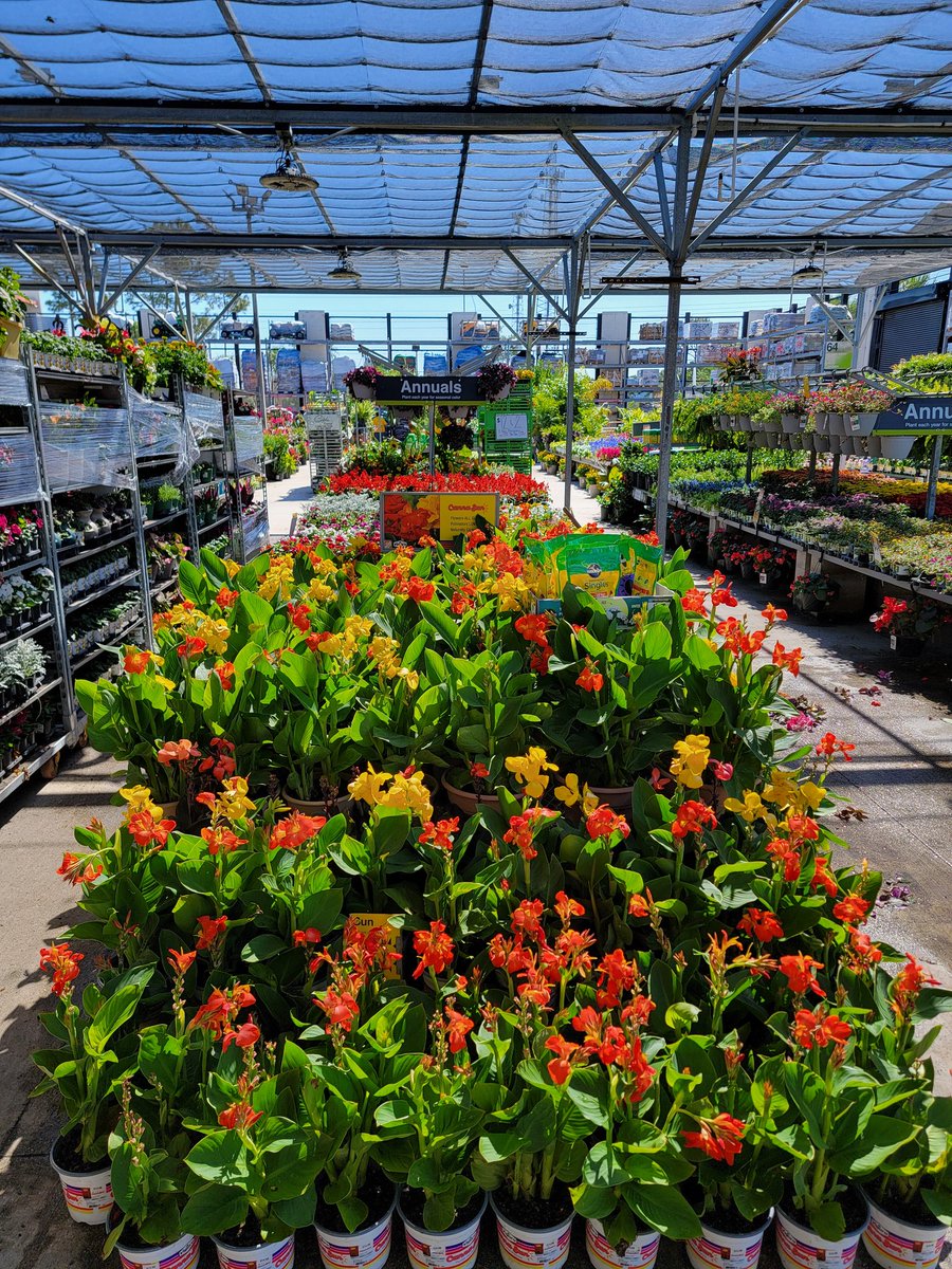 Gary Murphy tweet media