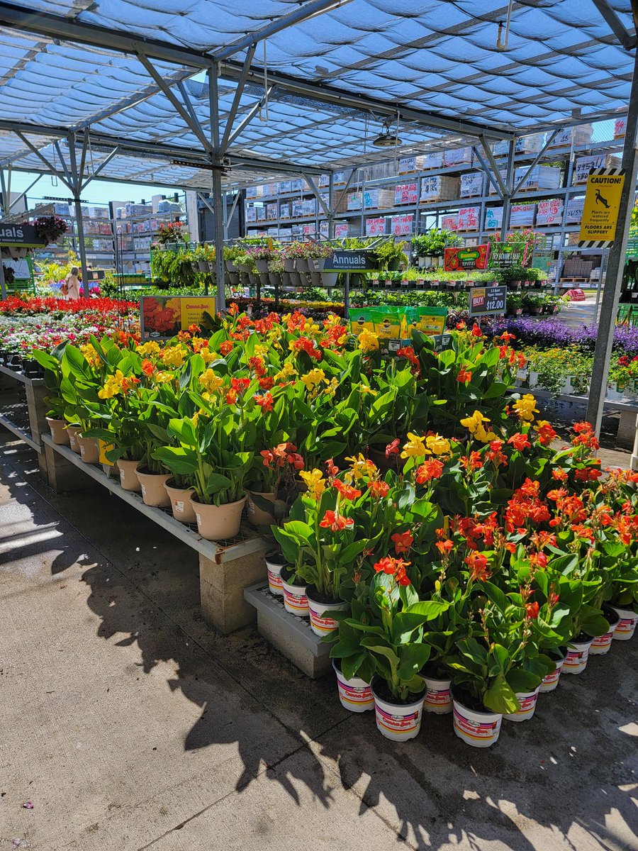 Gary Murphy tweet media