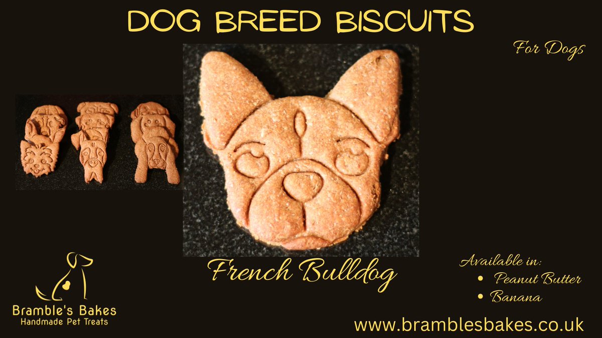 Brambles_Bakes's tweet photo. A delicious dog biscuit for your Frenchie, available in Peanut Butter or Banana. Sold as a pair or in a tin of 8. Visit https://t.co/Pwox8i8bnO to order yours today! Lots of breeds available. If you don’t see what you are looking for, get in touch and we will see what we can do. https://t.co/2Mp95mHPT9