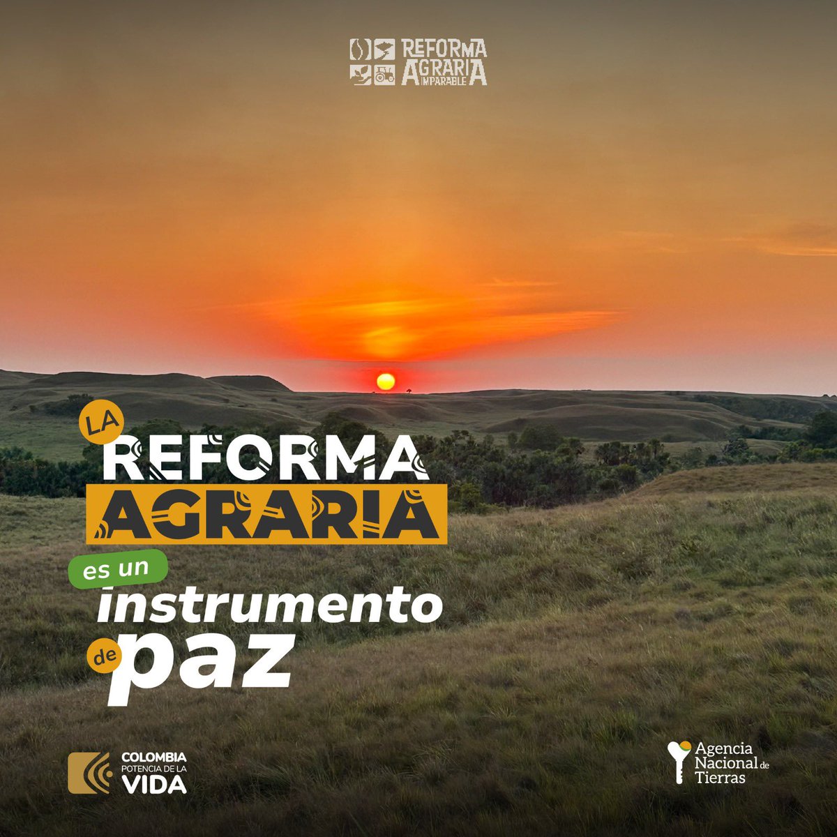 Por décadas en Colombia ha existido la guerra por acaparar la tierra. Con la #ReformaAgraria, construimos democracia en la economía de la ruralidad, caminamos firmes hacia el cumplimiento del punto 1 del Acuerdo de Paz.

#MetaReformaAgraria