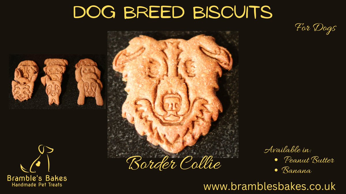 Brambles_Bakes's tweet photo. A delicious dog biscuit for your Border Collie, available in Peanut Butter or Banana. Sold as a pair &amp; in a tin of 6. Visit https://t.co/Pwox8i7Dyg to order yours today! Lots of breeds available. If you don’t see what you are looking for, get in touch &amp; we will see what we can do https://t.co/QCgaxh4tV2
