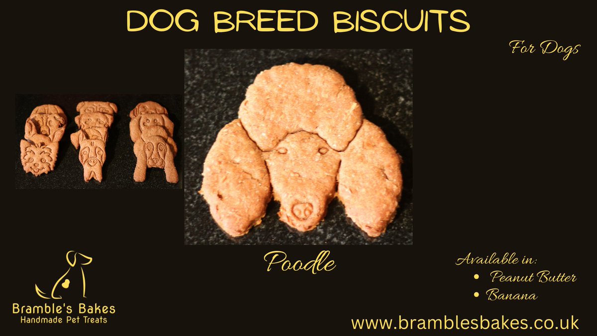Brambles_Bakes's tweet photo. A delicious dog biscuit for your Poodle, available in Peanut Butter or Banana. Sold as a pair or in a tin of 6. Visit https://t.co/Pwox8i8bnO to order yours today! Lots of breeds available. If you don’t see what you are looking for, get in touch and we will see what we can do. https://t.co/3MMWgnb99O