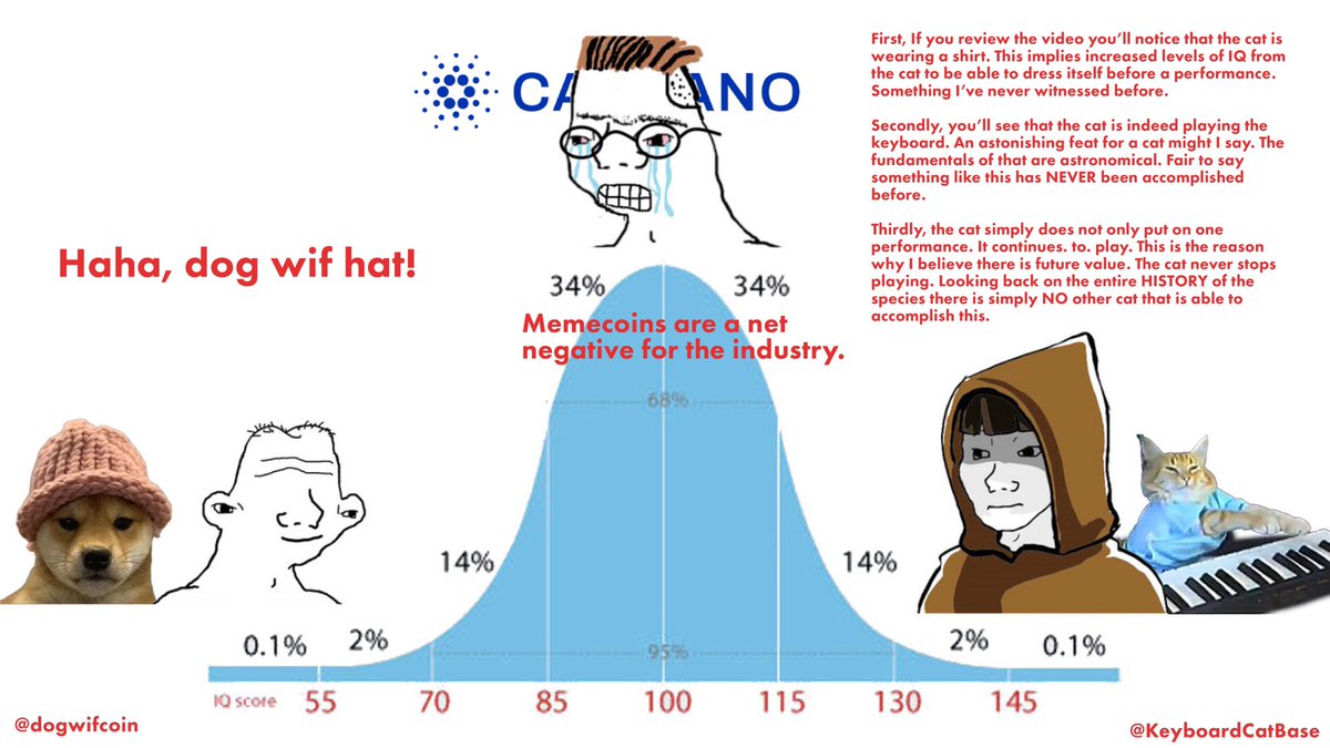 ruedesilver's tweet image. do not midcurve dogs wif hats or cats that play keyboard