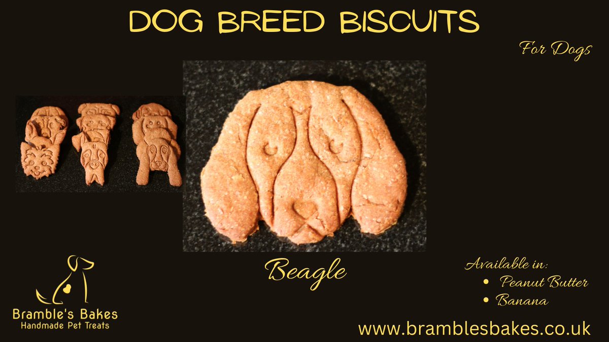Brambles_Bakes's tweet photo. A delicious dog biscuit for your Beagle, available in Peanut Butter or Banana. Sold as a pair or in a tin of 6. Visit https://t.co/Pwox8i7Dyg to order yours today! Lots of breeds available. If you don’t see what you are looking for, get in touch and we will see what we can do. https://t.co/rC5kURkEf0