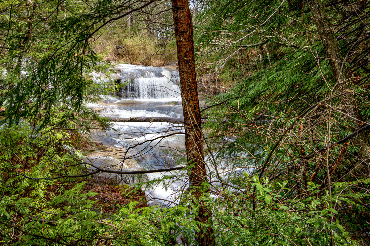 Explore Hocking Hills with Exciting Hiking Trails Accessible to All - oh, and waterfalls as a bonus!. #Travel #hiking #Accesibility #seniors #7 bit.ly/3xxH2Kz